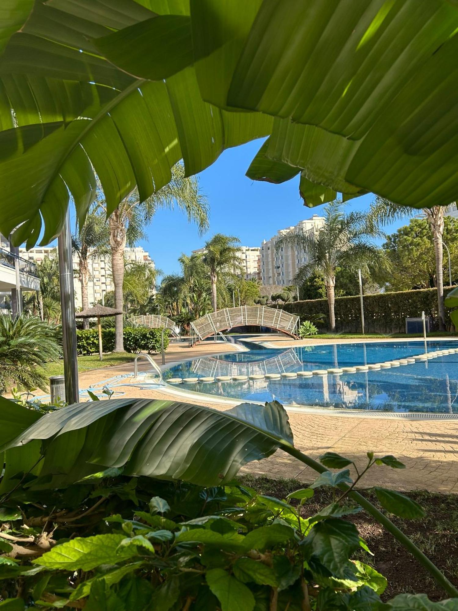 Margo El Eden Residencial Apartment Gandia Ngoại thất bức ảnh